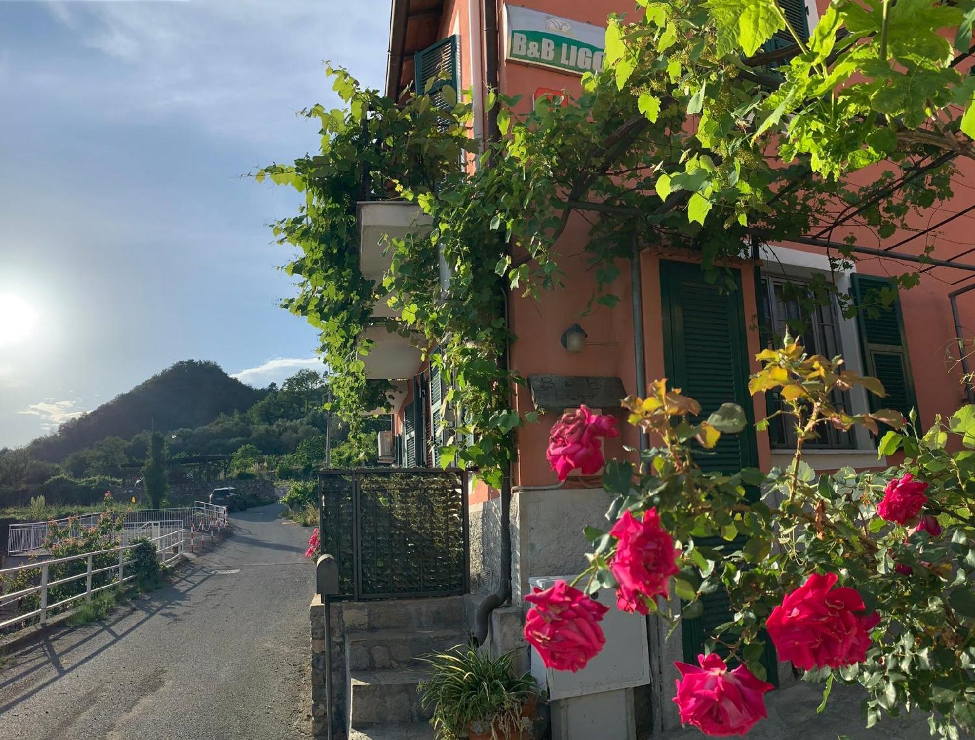 Ligo Bed & Breakfast Villanova d'Albenga Bagian luar foto