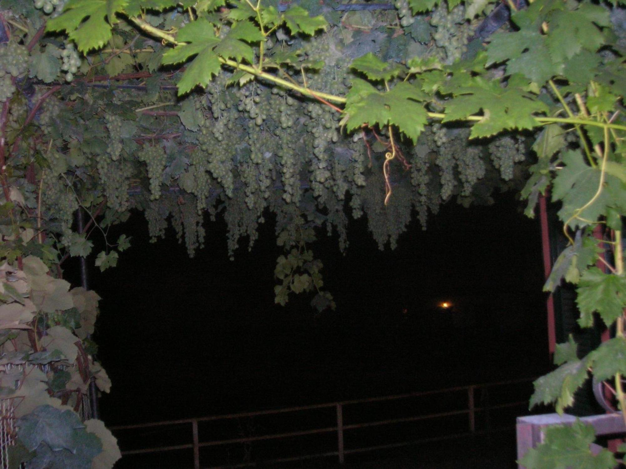 Ligo Bed & Breakfast Villanova d'Albenga Bagian luar foto