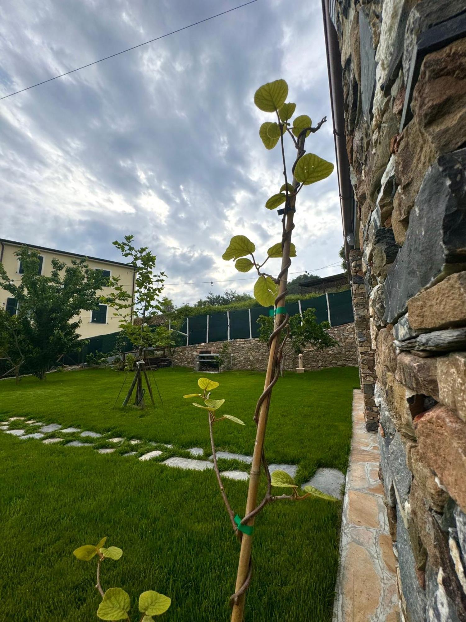 Ligo Bed & Breakfast Villanova d'Albenga Bagian luar foto